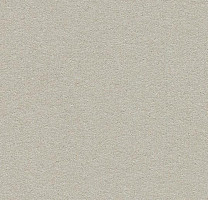 Линолеум Forbo Bulletin Board 2206 oyster shell фото 1 | FLOORDEALER